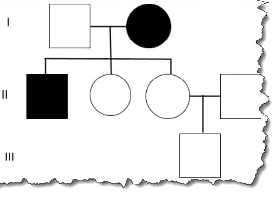 How to make a pedigree chart on Google Docs